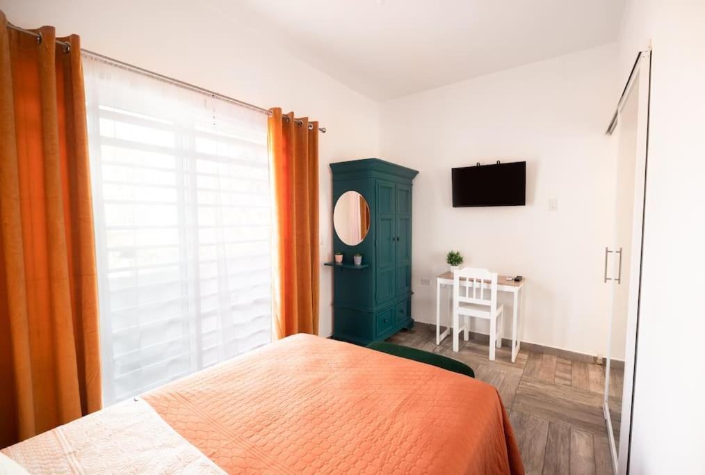 New Apt Super Cozy & Pet Friendly Close To Marina #3 La Paz Extérieur photo